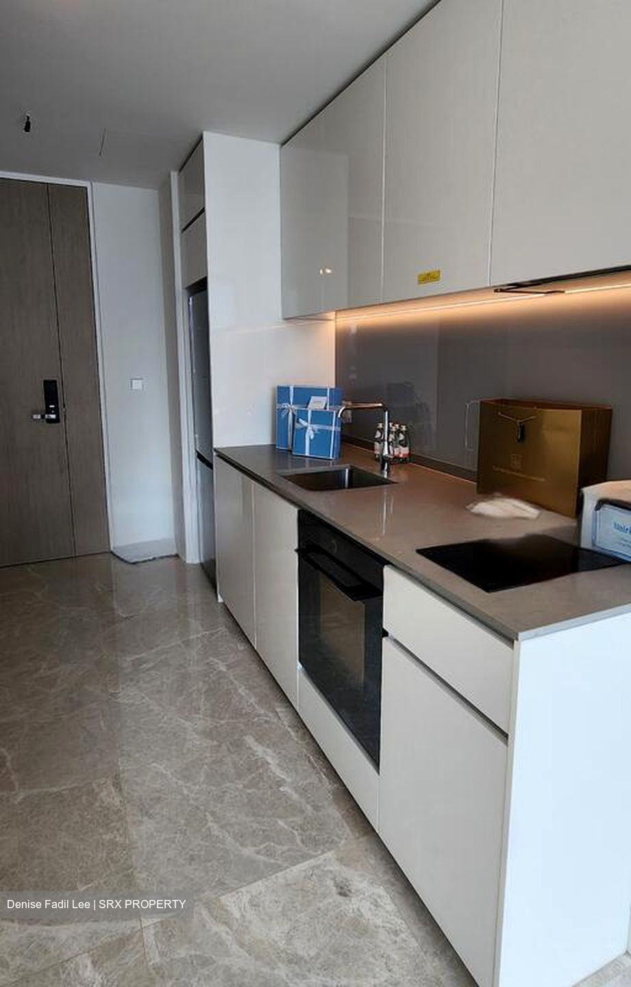 Amber Park (D15), Condominium #428210141